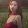 Ashra 🧛 的头像