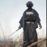 Beecho Bechalooz's profile picture