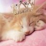 Victoria profil fotoğrafı