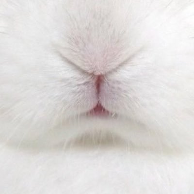 Zzzz0's profile picture