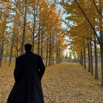 Dashihuabuduo's profile picture