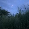 अज्ञात 的头像