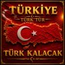 🇹🇷 TÜRK HALKLARI BİRLİĞİ HAREKETİ🪞's profile picture