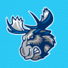 Manitoba Moose profil fotoğrafı