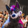 Фото профиля Nabi Wolfy 💙💜 🔜 Furpoc