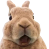 Profilbild von santmarianah revendo aot