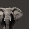 Фото профиля Vincent James