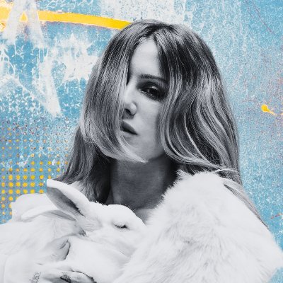 Slayyyter Argentina's profile picture