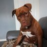 Banana reviews's profile picture