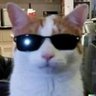 lukii's profile picture