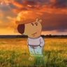 rodro's profile picture