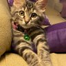 bb's profile picture