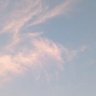 Bliss 的头像