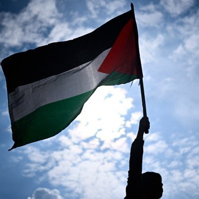🇵🇸 Shhab 🇵🇸's profile picture