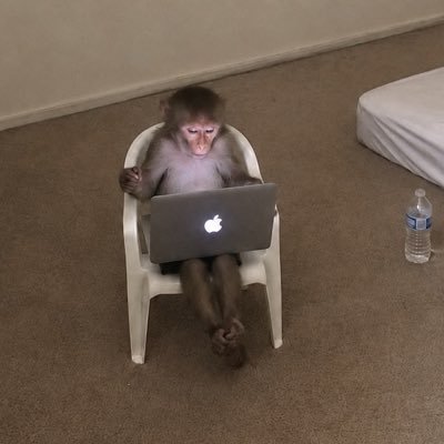 0xProbabillity's profile picture