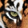 lerx's profile picture