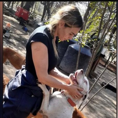 sole_castelli's profile picture
