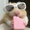 thecucu.es's profile picture
