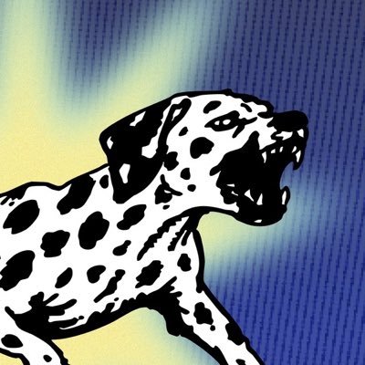 nsqk's profile picture