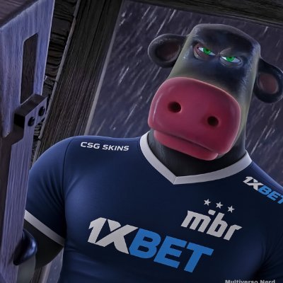 boibrene's profile picture