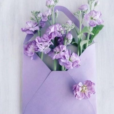 شادن 🤍💜's profile picture
