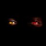 HereWeGazio's profile picture