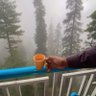 Fucker of Patwari 的头像