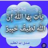 Profilbild von Nabeeahmed Nabeelahmed