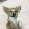 Profilbild von のりぶす