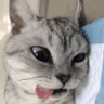Emilio 的头像