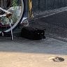 y profil fotoğrafı