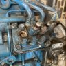 OGO profil fotoğrafı