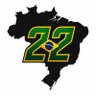 Brasil !! Direita 的头像
