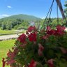 NewYorker 的头像