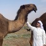 يوسف محمد الديحاني profil fotoğrafı
