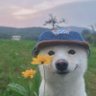 em bee's profile picture