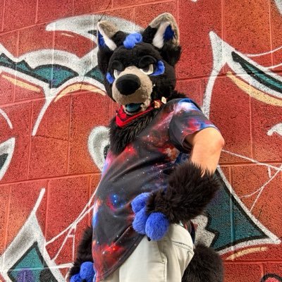 Skyway's profile picture
