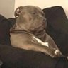Maxwell's profile picture
