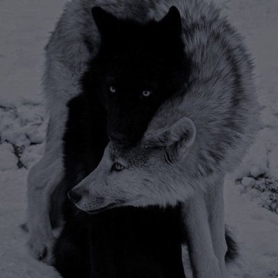 hakikatsizler's profile picture