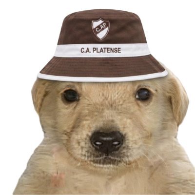 TeQuieroPumita's profile picture