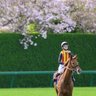 Фото профиля 競馬で勝ちたいマン