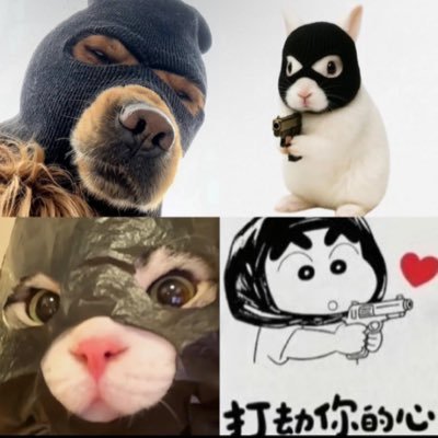 Leenotnow_hr's profile picture