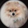 彩 profil fotoğrafı