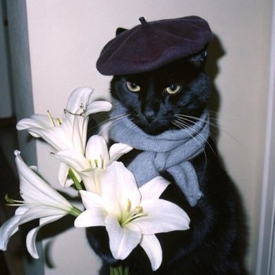 outroyago's profile picture
