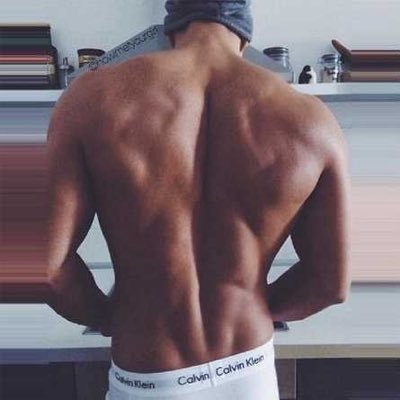gorilla | 고릴라's profile picture