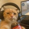 Profilbild von matheus