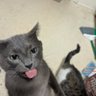 Rango and Dumpling, ๐ Jasper's profile picture