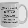 Bogdan's profile picture