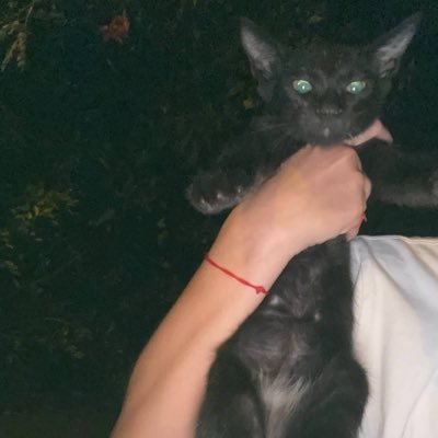 xin_babe_uwu's profile picture