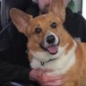 Judd's profile picture